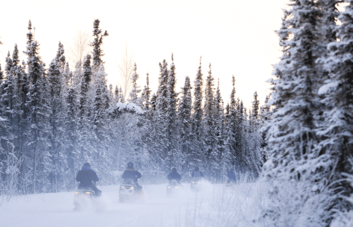 Several snowmobilers along a wintery trail
