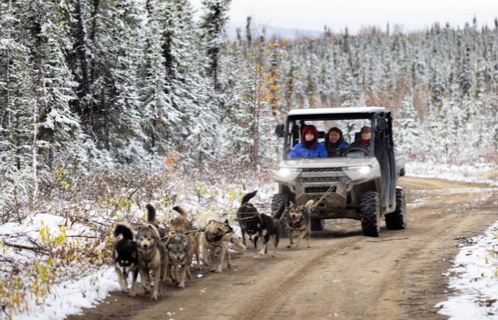 CLients riding in side by side dog sled experience